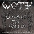 Wings Of The Fallen